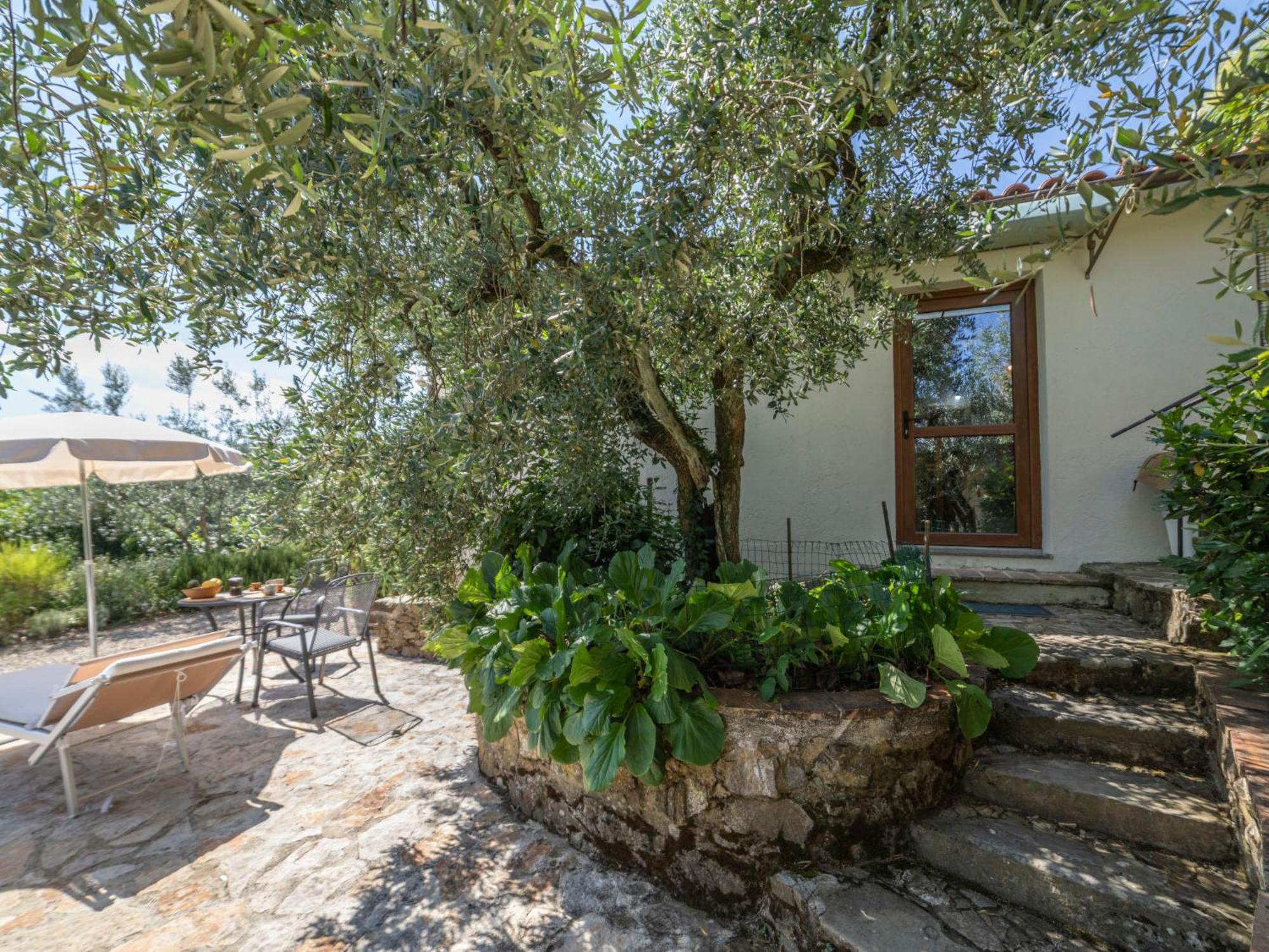 קסטלינה אין קיאנטי Holiday Home Olivo By Interhome מראה חיצוני תמונה